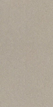 Gạch 25x60 cm Đồng Tâm 2560TIENSA 003