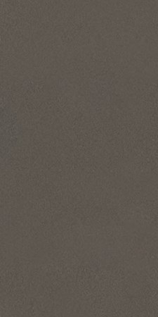 Gạch 25x60 cm Đồng Tâm 2560TIENSA 004
