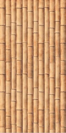 Gạch 25x60 cm Đồng Tâm 2560TREVN 001