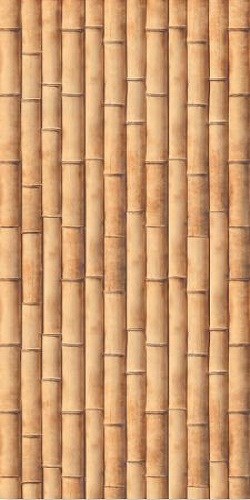 Gạch 25x60 cm Đồng Tâm 2560TREVN 001