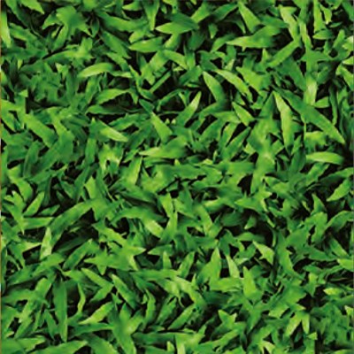 Gạch 40x40 cm Đồng Tâm 4040CLG-001
