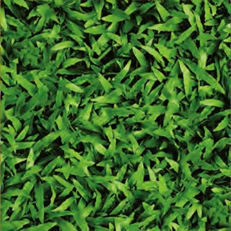 Gạch 40x40 cm Đồng Tâm 4040CLG-001