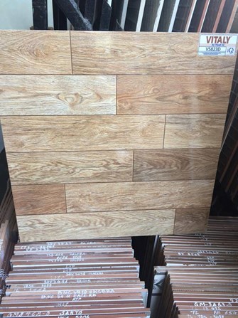 Gạch 50x50 cm kỹ thuật số VITALY V5823D