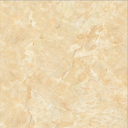 Gạch 60x60 cm TTC PN66025