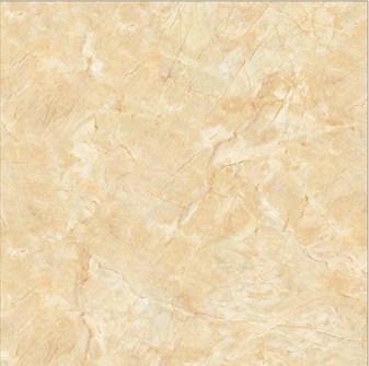 Gạch 60x60 cm TTC PN66025