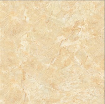 Gạch 60x60 cm TTC PN66025