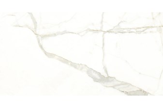 Gạch Catalan 40x80 cm 4806