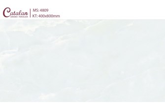 Gạch Catalan 40x80 cm 4809