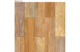 Gạch Catalan 60 x 60 cm 6110