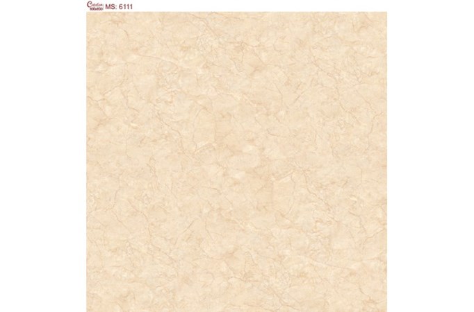 Gạch Catalan 60 x 60 cm 6111