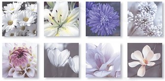 Gạch Điểm Ốp tường Thạch Bàn 30x60cm TKP36028