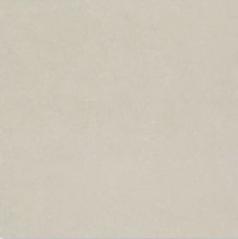 Gạch Đồng Tâm 100x100cm 100DB028-NANO