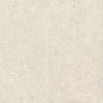 Gạch Đồng Tâm 100x100cm 100DB032-NANO