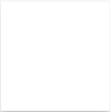 Gạch Đồng Tâm 200x200 mm TL01