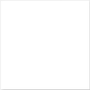 Gạch Đồng Tâm 30x30 cm 300