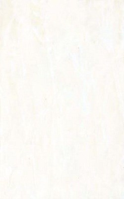 Gạch Đồng Tâm 30x45 cm 3045PHALE-001