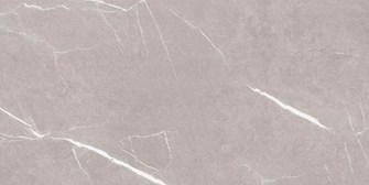 Gạch Ốp tường Thạch Bàn 30x60cm TDP36029