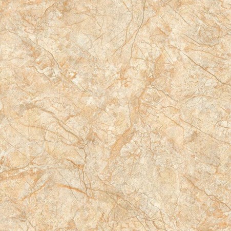 Gạch TTC 30x30 cm FN33006