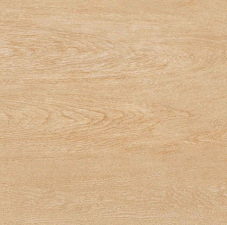 Gạch TTC 30x30 cm FN33008