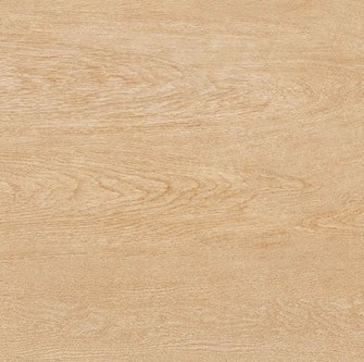 Gạch TTC 30x30 cm FN33008