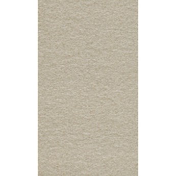 Gạch Taicera 30x60 G63522
