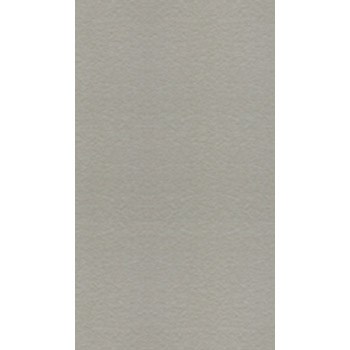 Gạch Taicera 30x60 G63548