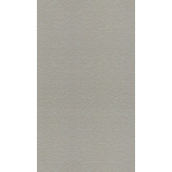 Gạch Taicera 30x60 G63548