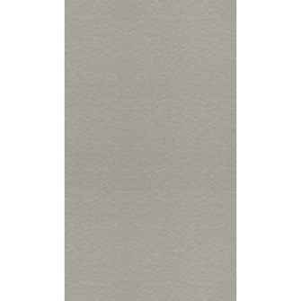 Gạch Taicera 30x60 G63548