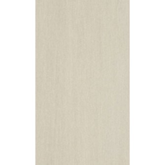 Gạch Taicera 30x60 G63902