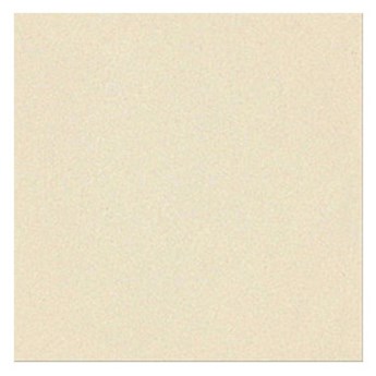 Gạch Taicera 40x 40cm G49034