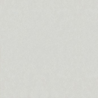 Gạch Taicera lát nền 60x60 G68025