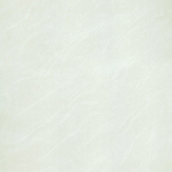 Gạch Taicera lát nền 60x60 P67025N