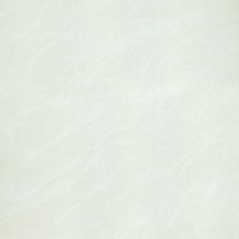 Gạch Taicera lát nền 60x60 P67025N