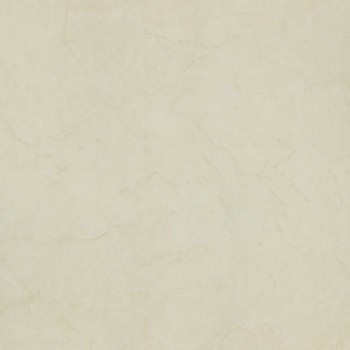 Gạch Taicera lát nền 60x60 P67594N