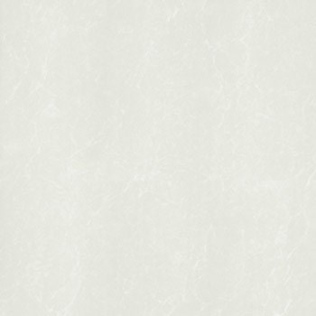 Gạch Taicera lát nền 60x60 P67762N