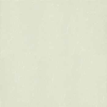 Gạch Taicera lát nền 60x60 P67763N