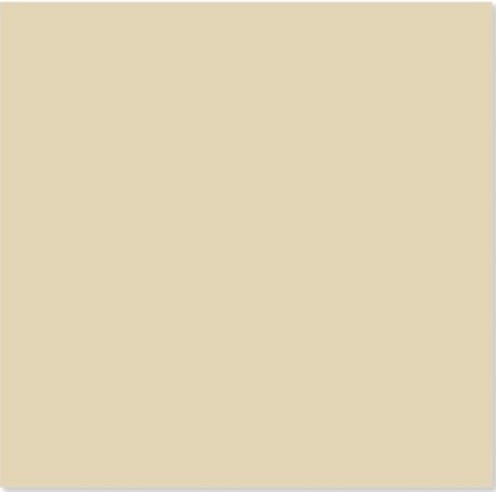 Gạch Trung Quốc 60x60cm kem trơn- 1 da
