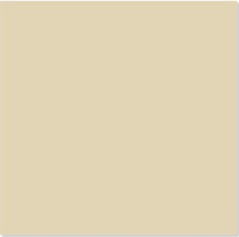 Gạch Trung Quốc 60x60cm kem trơn- 1 da