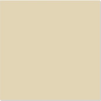 Gạch Trung Quốc 60x60cm kem trơn- 1 da