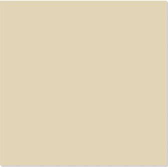 Gạch Trung Quốc 60x60cm kem trơn- 1 da