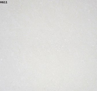 Gạch Trung Quốc 60x60cm xà cừ trắng  - 2 da