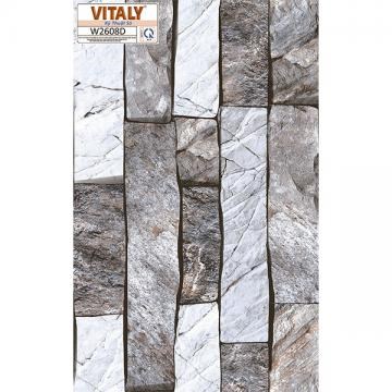 Gạch VITALY 25x40 cm kỹ thuật số W2608D