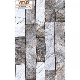Gạch VITALY 25x40 cm kỹ thuật số W2608D