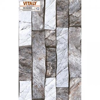 Gạch VITALY 25x40 cm kỹ thuật số W2608D
