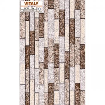 Gạch VITALY 25x40 cm kỹ thuật số W2610D