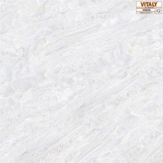 Gạch VITALY 60x60cm V6606