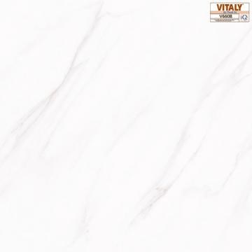 Gạch VITALY 60x60cm V6608