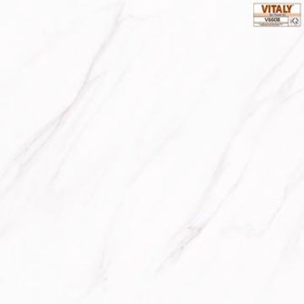 Gạch VITALY 60x60cm V6608