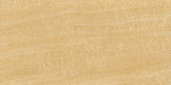 Gạch Viglacera 30x60cm BS3605