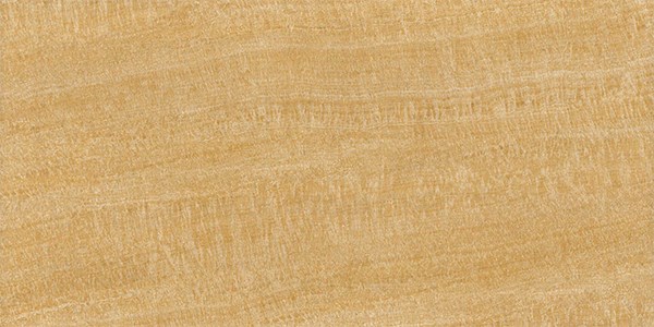 Gạch Viglacera 30x60cm BS3606